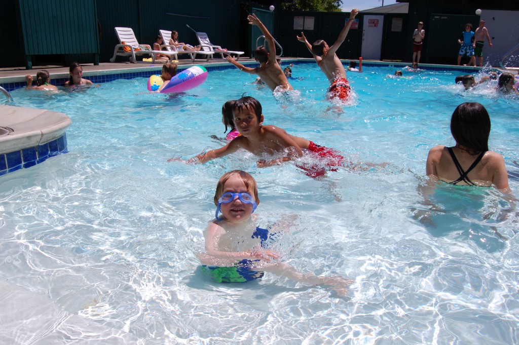 The Pool Doctor photo 2